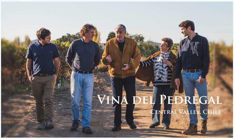 ビーニャ・デル・ペドリガル (Vina del Pedregal) イタリア、プーリア州、サレント