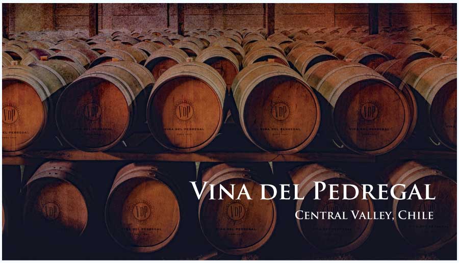 ビーニャ・デル・ペドリガル (Vina del Pedregal) イタリア、プーリア州、サレント