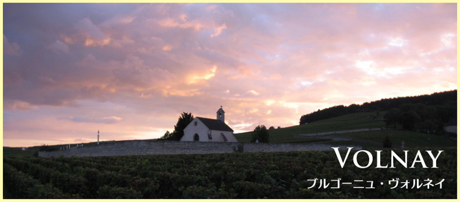 ヴォルネイ　ヴォルネイのぶどう畑と夕日