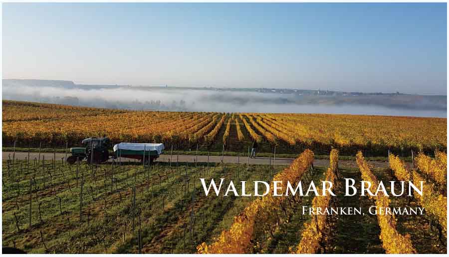 ヴァルデマー・ブラウン (Waldemar Braun) ドイツ、フランケン、ノルトハイム