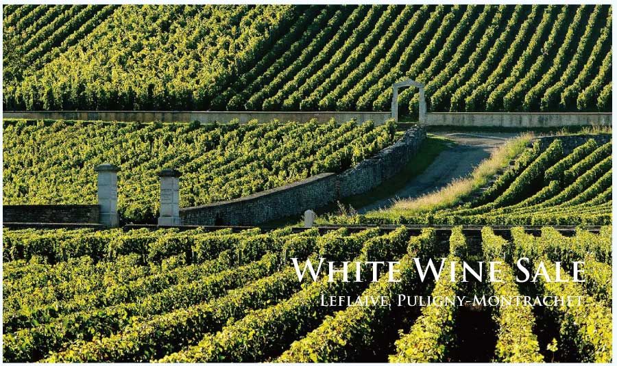 白ワインセール (White Wine Sale)